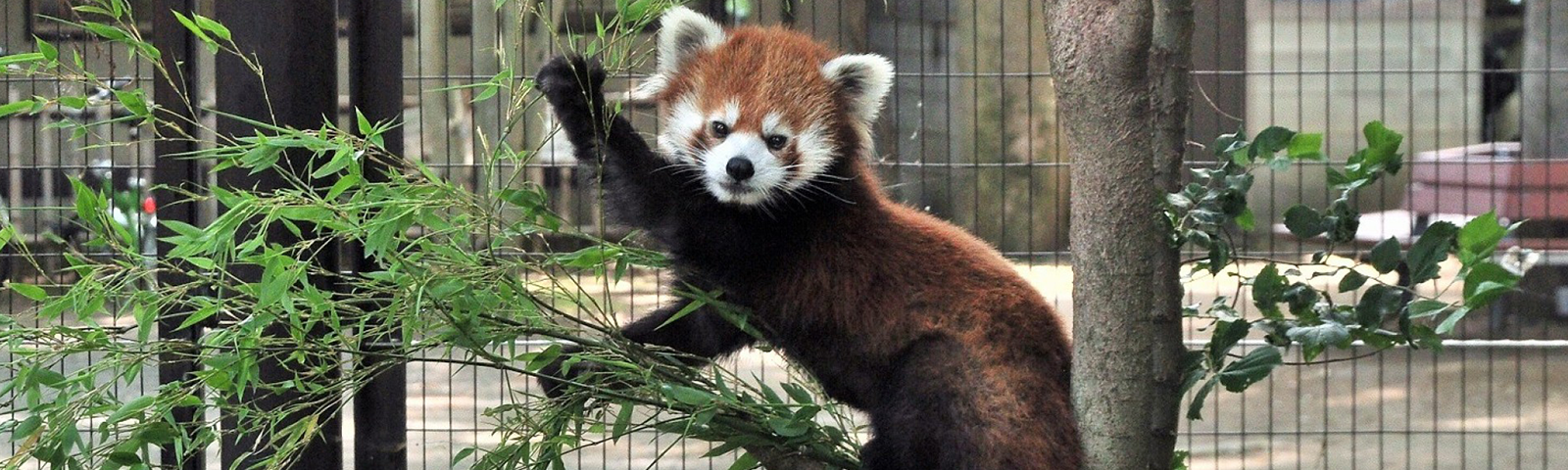 子どもが環水公園の橋を座って見ている写真