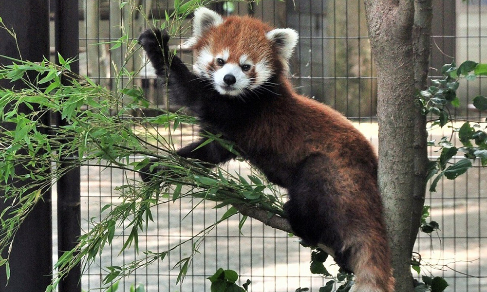 子どもが環水公園の橋を座って見ている写真